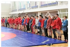 Результаты выступления борцов на Чемпионате г. Пскова по борьбе самбо.