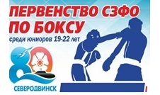 Пять медалей в копилке команды Псковской области по боксу  