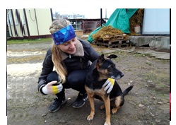 Волонтеры академии посетили приют для бездомных животных «Милый»
